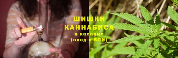 мяу мяу мука Абаза