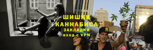 мяу мяу мука Абаза