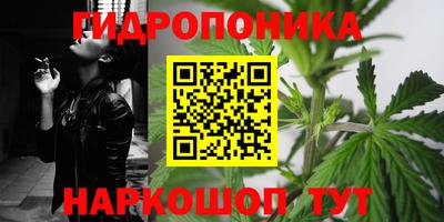 прущие крисы Славянск-на-Кубани