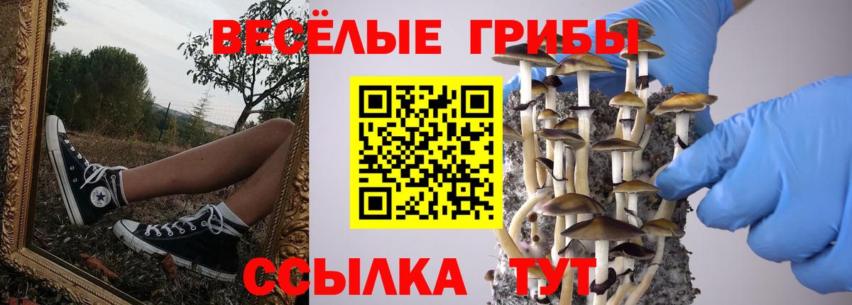 Псилоцибиновые грибы Cubensis  Вход с VPN  Череповец  Псилоцибиновые грибы Magic Shrooms 