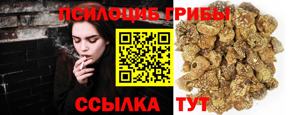 Галлюциногенные грибы прущие грибы Череповец